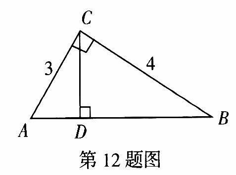 直角三角面积公式图片_纵览新闻