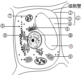 小猿搜题